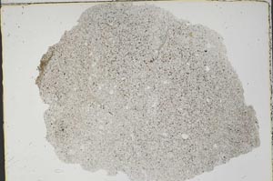 Plane Polarized, S46851