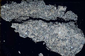 Cross Polarized, S46852