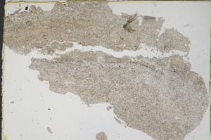 Plane Polarized, S46852