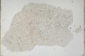 Plane Polarized, S46853