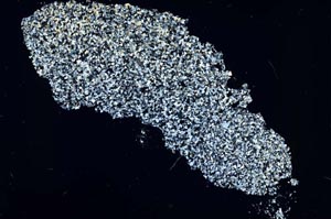 Cross Polarized, S46854