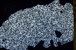 Cross Polarized, S46855