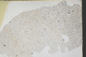 Plane Polarized, S46855