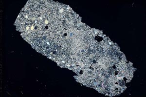 Cross Polarized, S46857