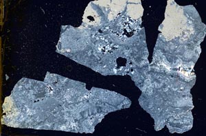 Cross Polarized, S46858