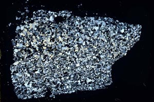 Cross Polarized, S46859