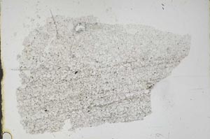 Plane Polarized, S46859