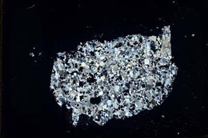 Cross Polarized, S46860