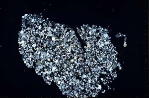 Cross Polarized, S46861