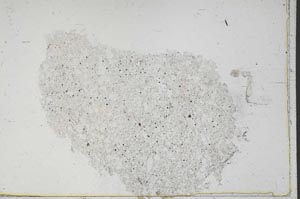 Plane Polarized, S46861