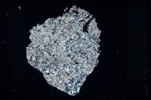 Cross Polarized, S46864