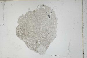 Plane Polarized, S46864