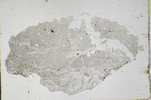 Plane Polarized, S46865