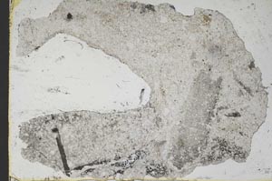 Plane Polarized, S46866