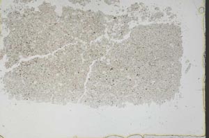 Plane Polarized, S46869