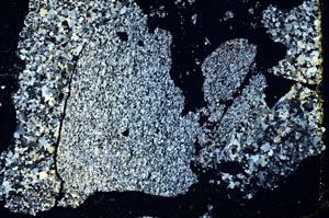 Cross Polarized, S46870