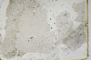 Plane Polarized, S46870