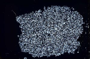 Cross Polarized, S46871