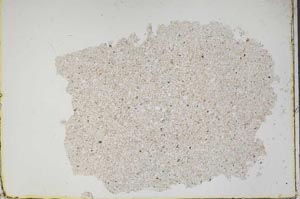 Plane Polarized, S46871