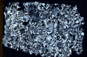 Cross Polarized, S46872