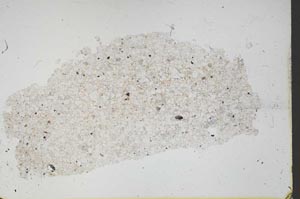 Plane Polarized, S46873