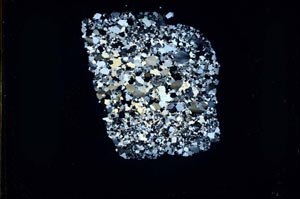 Cross Polarized, S46874