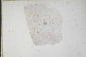 Plane Polarized, S46874