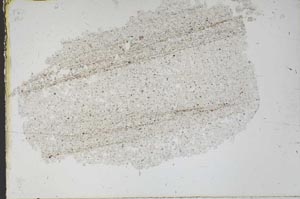 Plane Polarized, S46875