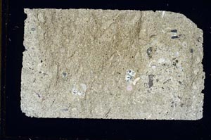 Cross Polarized, S46883