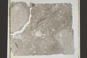 Plane Polarized, S46888