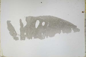 Plane Polarized, S46897
