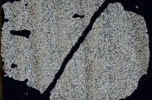 Cross Polarized, S46902