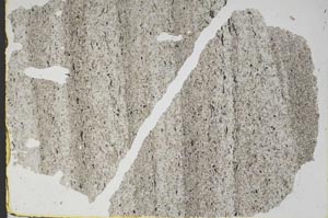 Plane Polarized, S46902