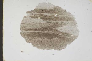 Plane Polarized, S46904