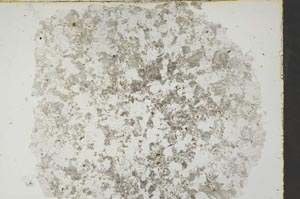 Plane Polarized, S46932