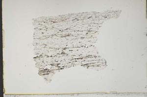 Plane Polarized, S46938