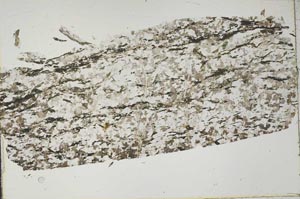 Plane Polarized, S46940
