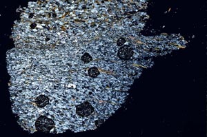 Cross Polarized, S46946