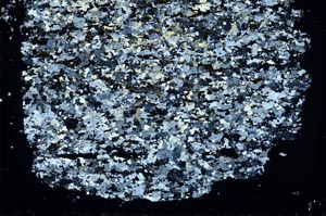 Cross Polarized, S46949