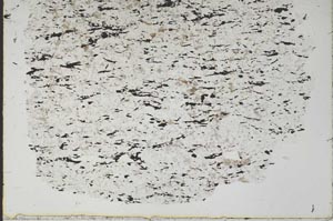 Plane Polarized, S46949