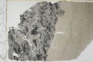 Plane Polarized, S46963