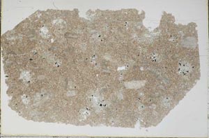 Plane Polarized, S46972