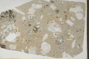 Plane Polarized, S46973