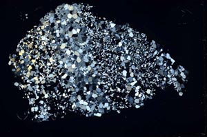 Cross Polarized, S46978