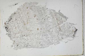 Plane Polarized, S46978