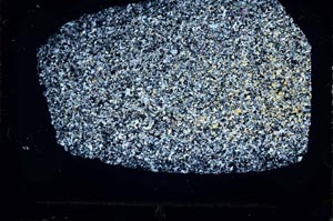 Cross Polarized, S46979