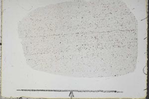 Plane Polarized, S46979