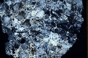 Cross Polarized, S46982