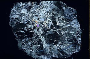 Cross Polarized, S46982/A