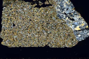 Cross Polarized, S46983